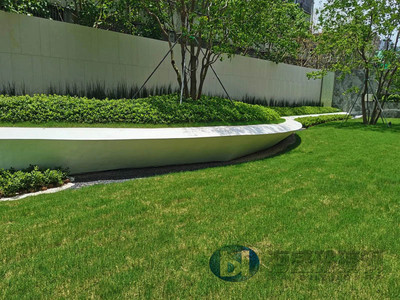 白色異形玻璃鋼樹池造形安裝